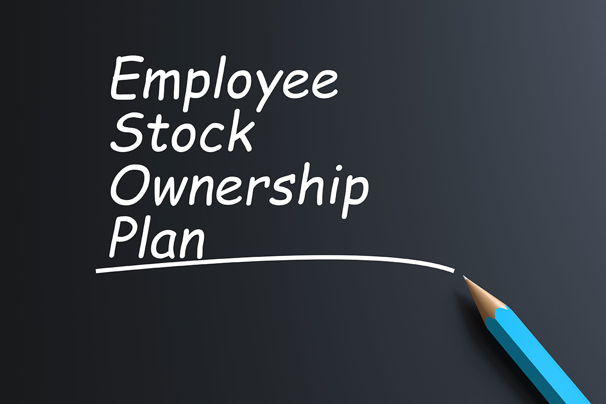 Showroom Sales Careers ESOP - SPLASH Showrooms