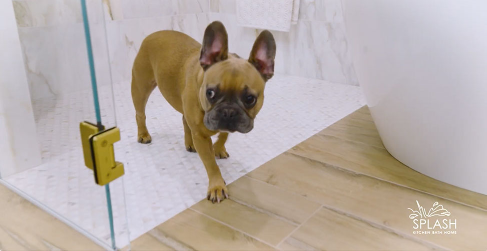 Kitchen and Bath Makeover YouTube Frenchie Bath - SPLASH Showrooms